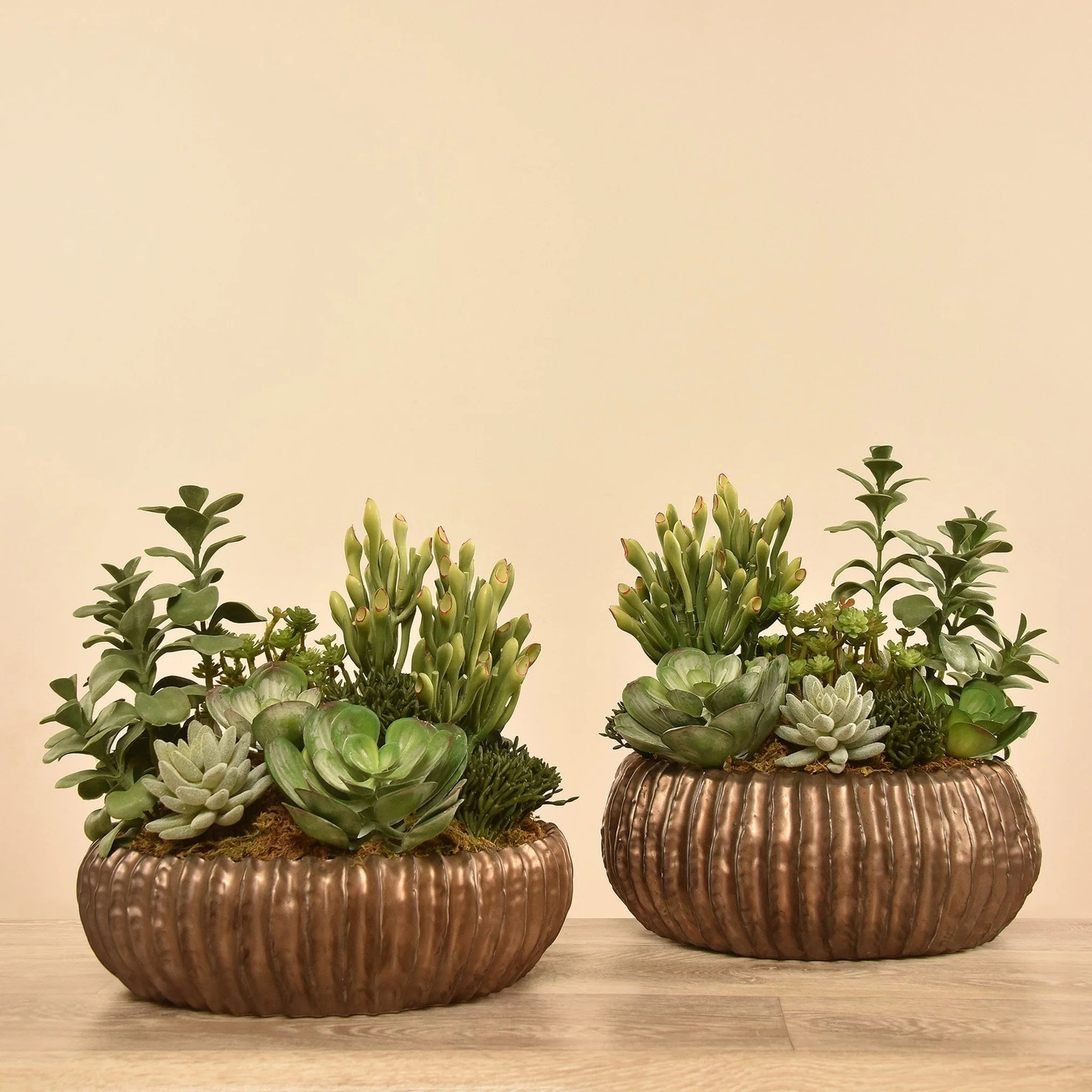 Luxury Artificial Succulents/Cactus/Agave/Aloe