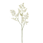 -Limonium Spray-Bloomr