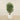 Trees-Artificial Aralia Tree <br> 150cm-Bloomr