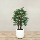 Trees-Artificial Finger Palm Tree <br> 120cm-Bloomr