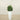 Trees-Artificial Fiddle Tree <br> 90cm-Bloomr