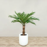 Artificial Phoenix Palm Tree <br> 120cm