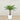 Trees-Artificial Phoenix Palm Tree <br> 120cm-Bloomr