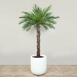 Artificial Phoenix Palm Tree <br> 180cm