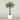 Trees-Artificial Phoenix Palm Tree <br> 180cm-Bloomr