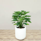 Artificial Philodendron Tree <br> 080cm