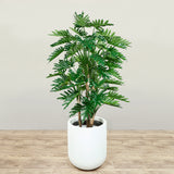 Artificial Philodendron Tree <br> 120cm