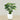 Trees-Artificial Monstera <br> 100cm-Bloomr