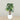 Trees-Artificial Monstera Tree <br> 165cm-Bloomr