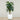 Trees-Artificial Monstera Tree <br> 185cm-Bloomr