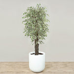 Trees-Artificial Mini Ficus Tree <br> 210cm-Bloomr