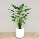 Trees-Artificial Bird of Paradise <br> 150cm-Bloomr