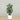 Trees-Artificial Rubber Tree <br> 120cm-Bloomr