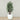 Trees-Artificial Rubber Plant <br> 180cm-Bloomr