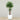 Trees-Artificial Areca Palm <br> 180cm-Bloomr