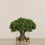 Flowers-Artificial Sedum Arrangement in Glass Vase-Bloomr