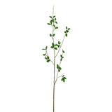 Plants-Branch Stem-Bloomr