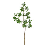 Plants-Branch Stem-Bloomr