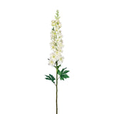 Flowers-Larkspur-Bloomr