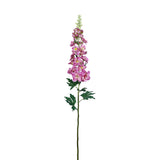 Flowers-Larkspur-Bloomr