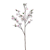 Flowers-Leptospermum Spray-Bloomr