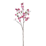 Flowers-Leptospermum Spray-Bloomr