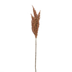 Flowers-Sorghum Spray-Bloomr