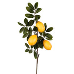 Plants-Lemon Teardrop Stem-Bloomr