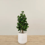 -Artificial Sweet Link Tree Topiary 110cm-Bloomr