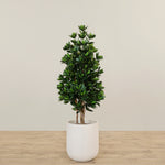 -Artificial Sweet Link Topiary Tree 140cm-Bloomr