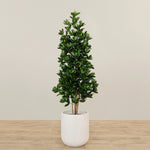 -Artificial Sweet Link Topiary Tree 170cm-Bloomr