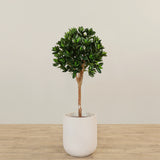 -Artificial Sweet Link Topiary 120cm-Bloomr