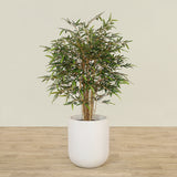 Artificial Mini Ficus Tree 120cm