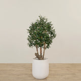 Artificial Olive Tree 120cmBloomr