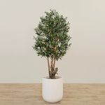 Artificial Olive Tree 150cmBloomr