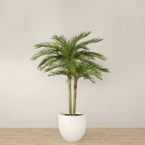 Trees-Artificial Phoenix Palm <br> 240cm-Bloomr