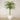 Trees-Artificial Phoenix Palm <br> 300cm-Bloomr