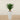 Trees-Artificial Yucca Plant<br> 75cm-Bloomr