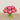 Floral Arrangement-Artificial Ranunculus Arrangement in Glass Vase-Bloomr