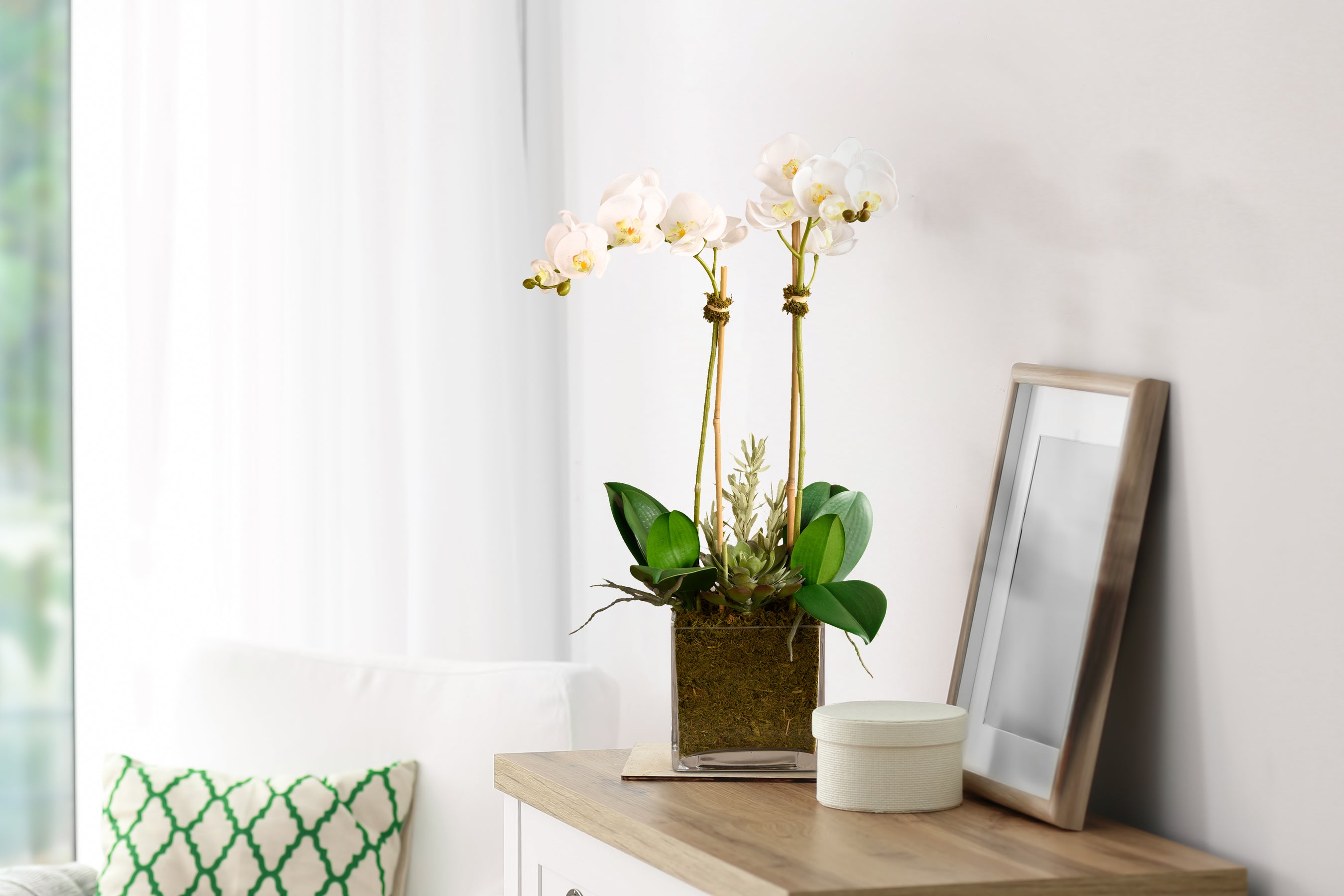 Shop Luxury Artificial Orchids in Dubai, Abu Dhabi | Bloomr