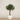 Trees-Artificial Olive Tree <br> 270cm-Bloomr