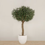 Trees-Artificial Olive Tree <br> 350cm-Bloomr