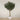 Trees-Artificial Olive Tree <br> 450cm-Bloomr