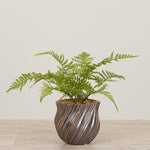 -Artificial Fern Arrangement in Ceramic Vase-Bloomr