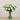 -Artificial Lisianthus Arrangement in Glass Vase-Bloomr