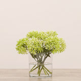 Allium Arrangement in Glass Vase