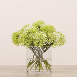 Allium Arrangement in Glass Vase