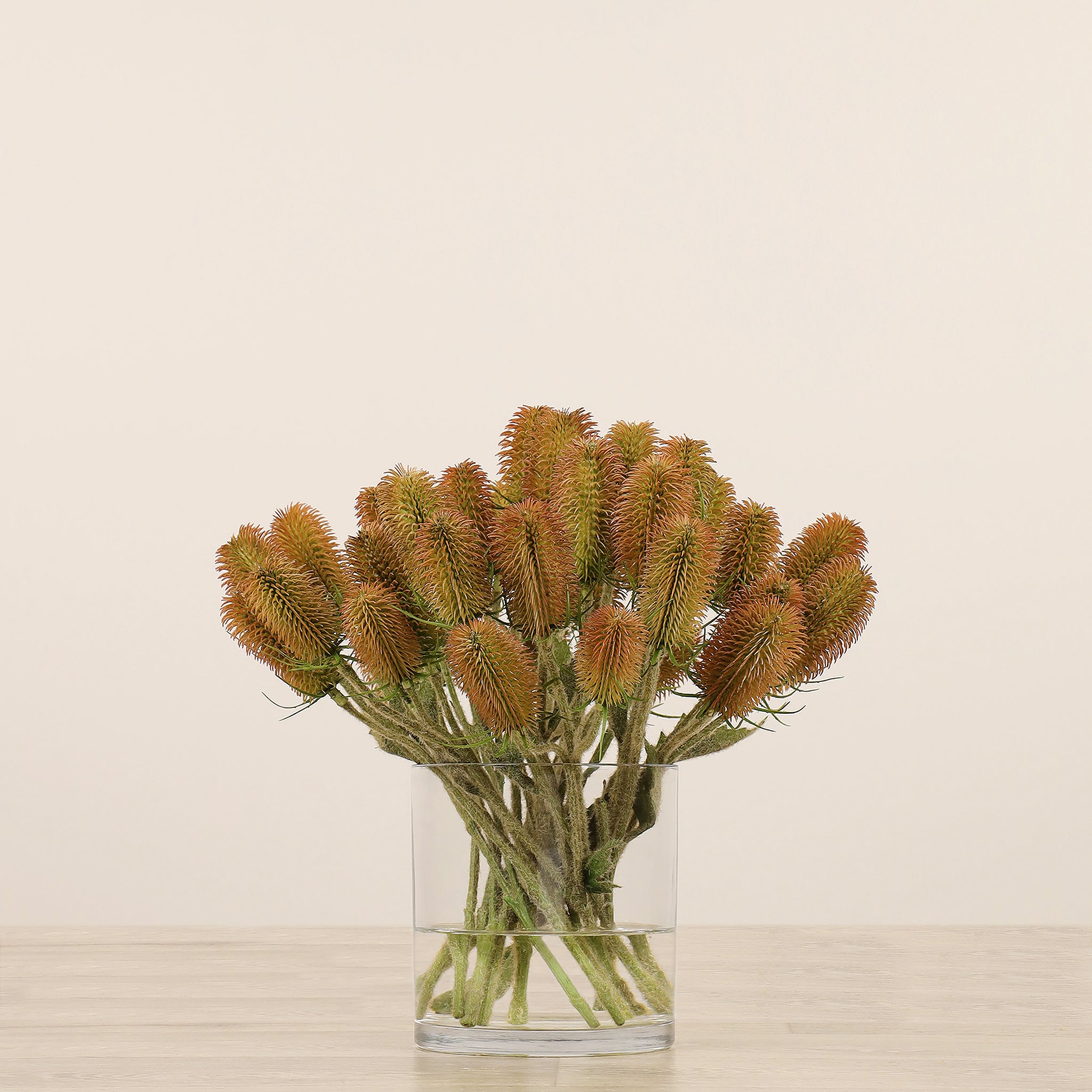 Dipsacus Arrangement in Glass Vase