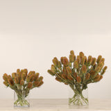 Dipsacus Arrangement in Glass Vase