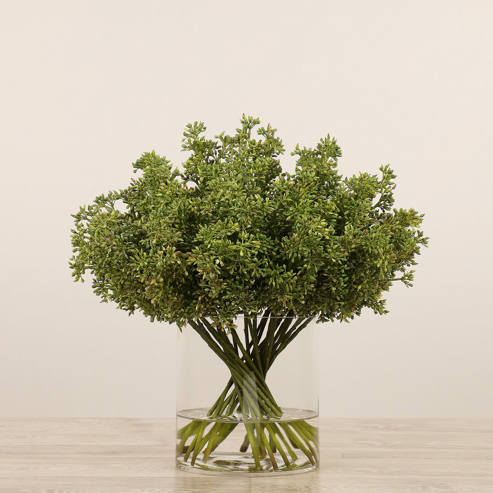 Sedum Arrangement in Glass Vase